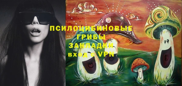 дмт Лихославль
