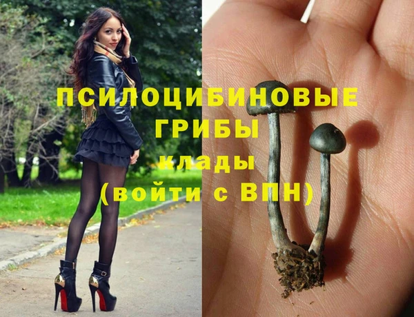 PSILOCYBIN Липки